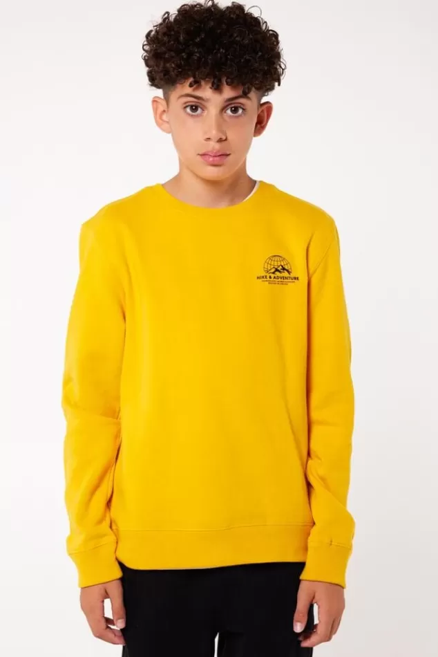 America Today Jumpers & Waistcoats | Sweaters & hoodies^Sweater Stray Crew JR Yellow