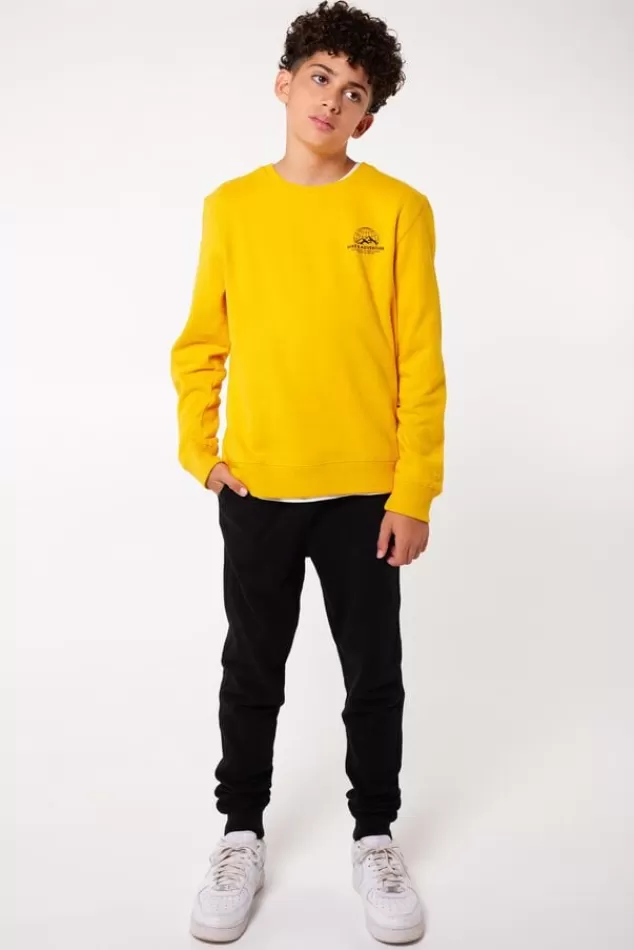 America Today Jumpers & Waistcoats | Sweaters & hoodies^Sweater Stray Crew JR Yellow